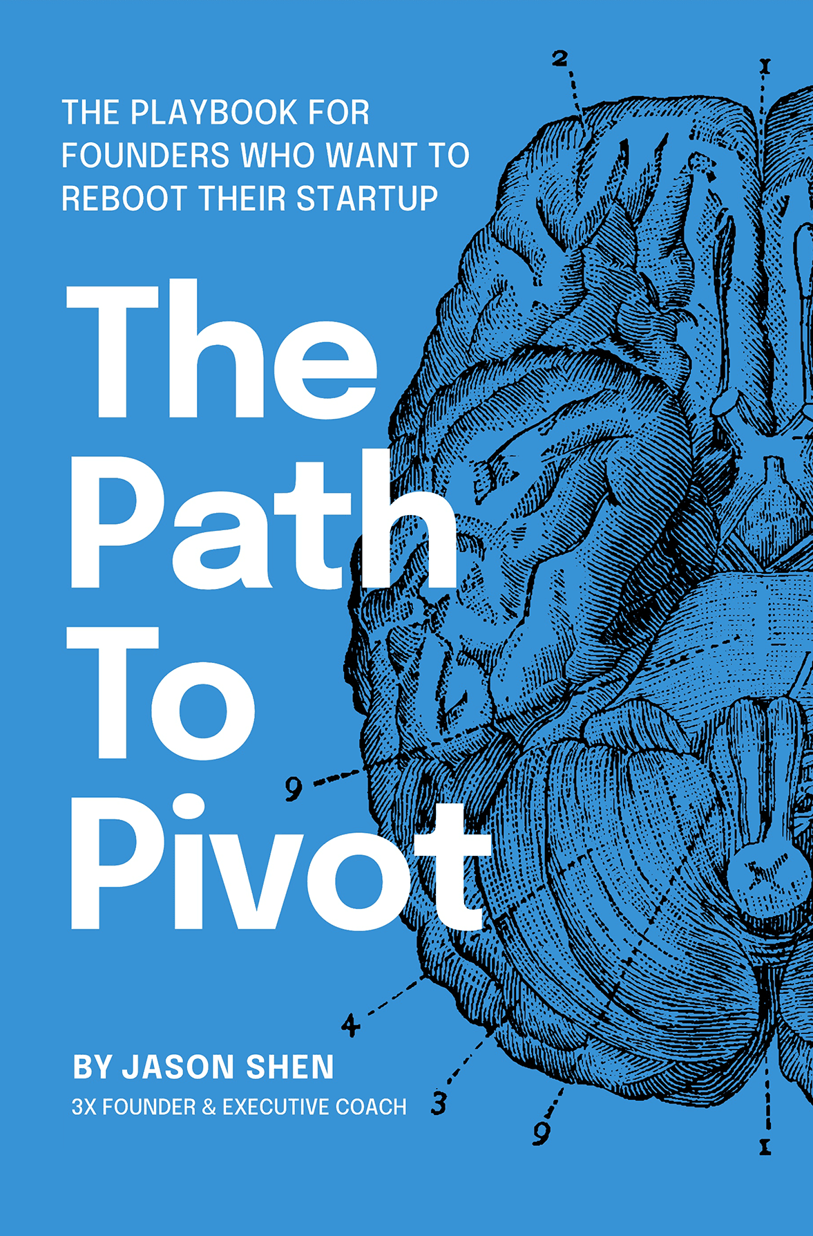 The Path to Pivot